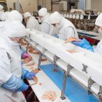 食肉加工の仕事内容とは？やりがい・市場規模・将来性について理解を深めよう