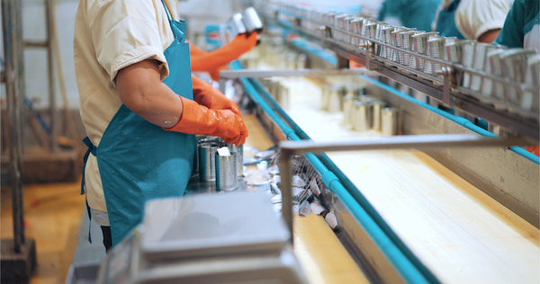 鮮魚加工とはどんな仕事？