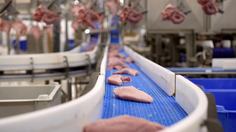 食肉加工で好印象になる志望動機の作り方